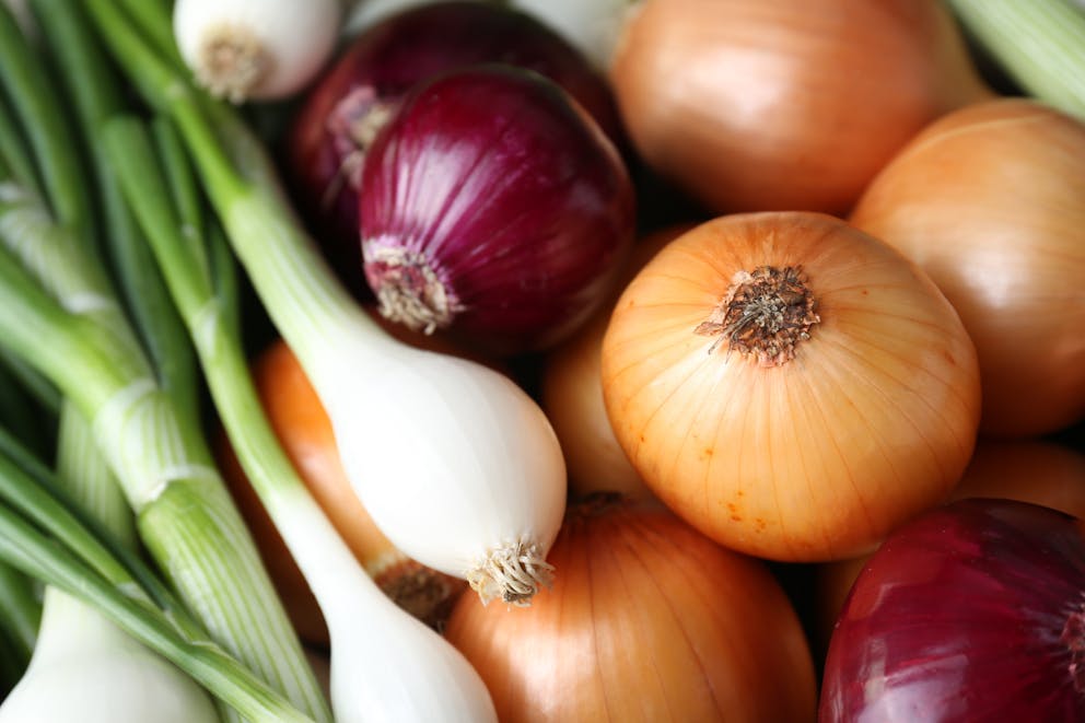 Various kinds of onions