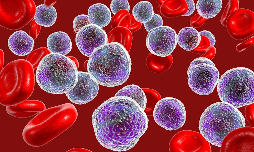 Blood platelet illustration