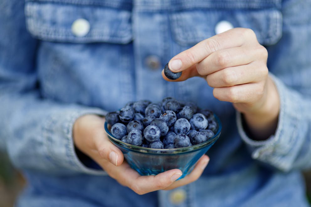 Bowl with blueberries