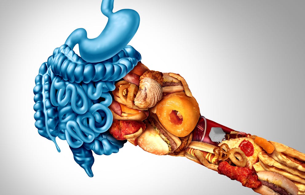 Processed food punching gastrointestinal system