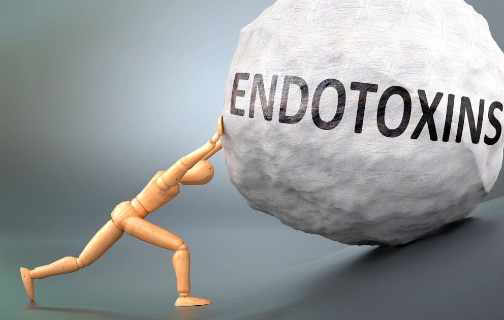 Endotoxin illustration