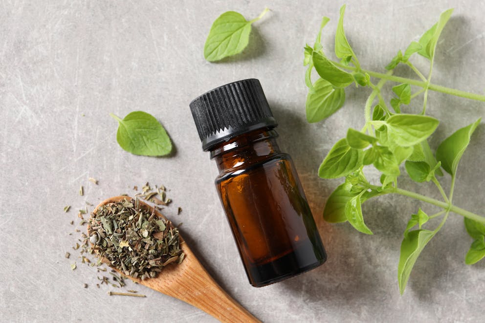 Oregano oil