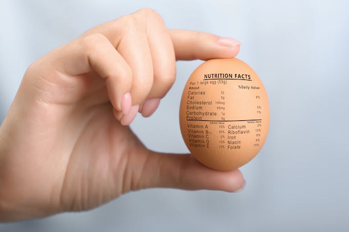 Nutrition facts on egg
