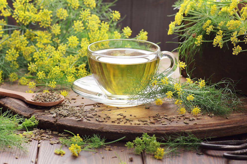 Fennel tea with fennel flowers