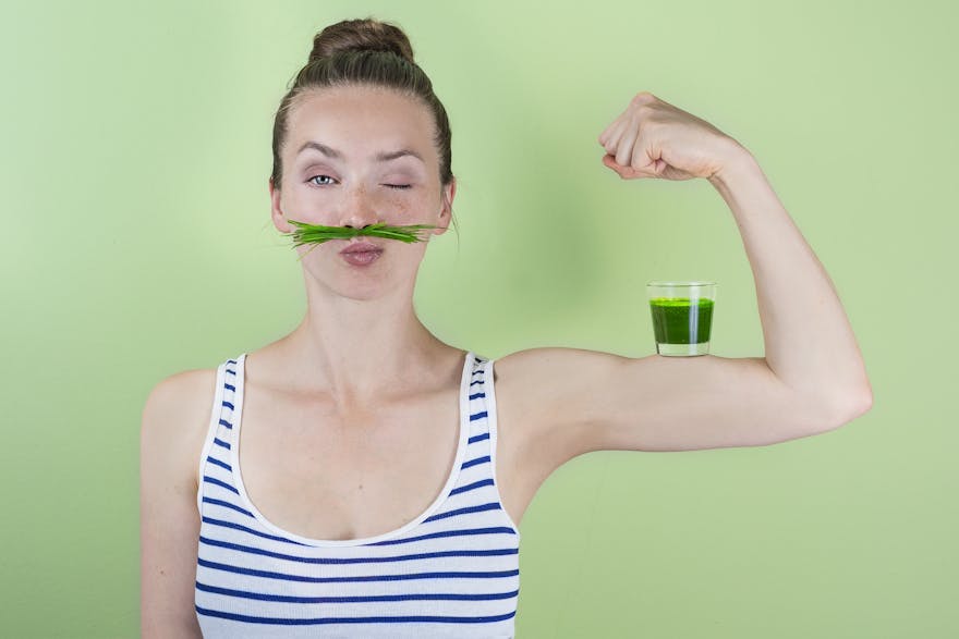 Wheatgrass Powder vs. Wheatgrass Juice Powder Dr. Berg