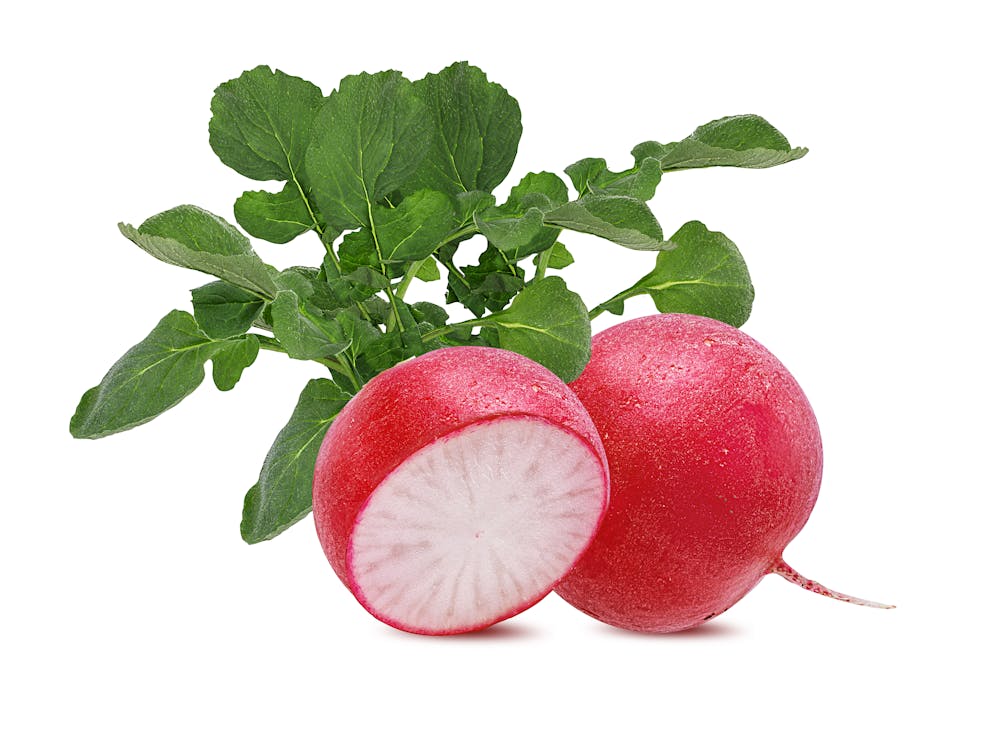 Sliced radish