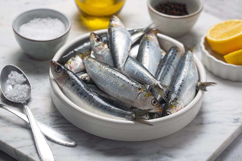 Sardines and the Keto Diet A Match Made in Healthy Eating Heaven