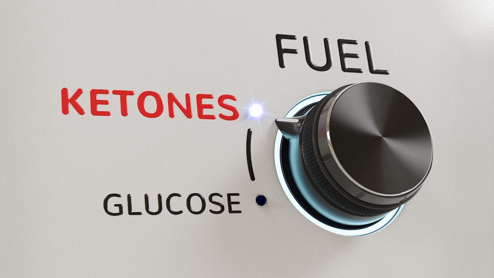 Ketosis illustration