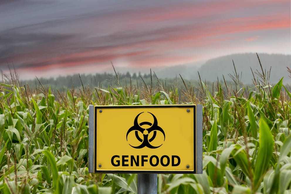 Food crops with genfood sign