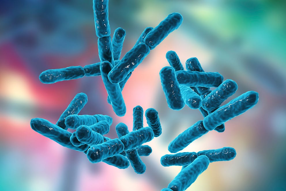 Probiotic microbe illustration