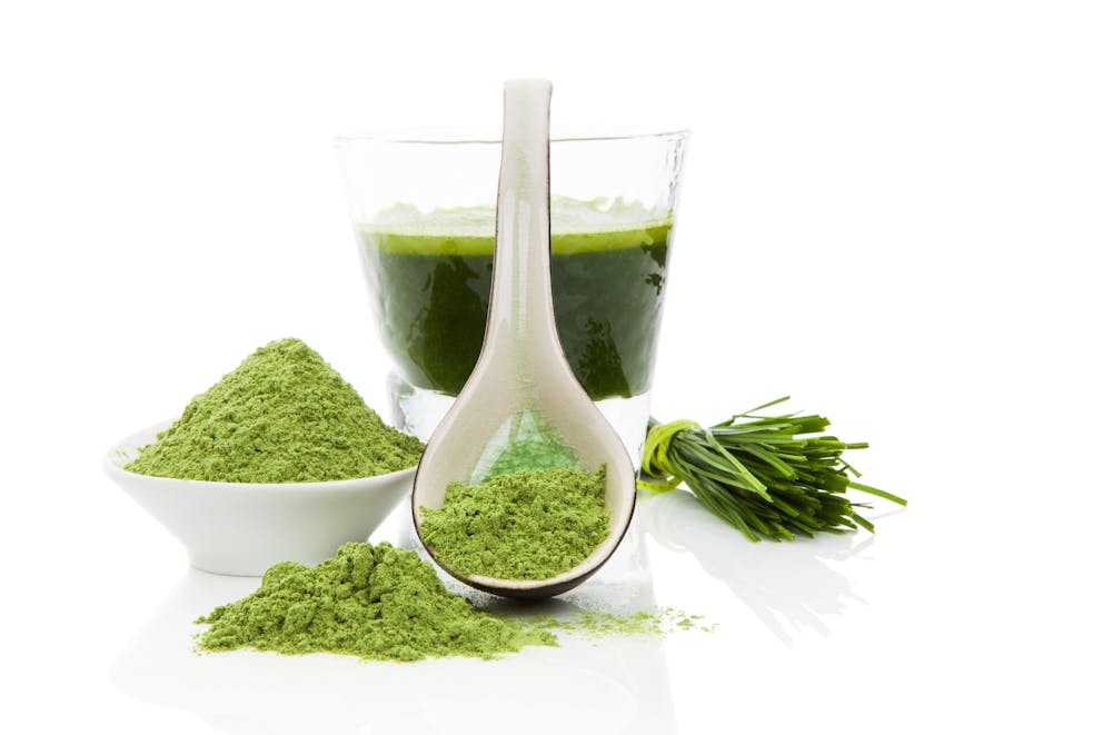 Wheatgrass Powder vs. Wheatgrass Juice Powder Dr. Berg