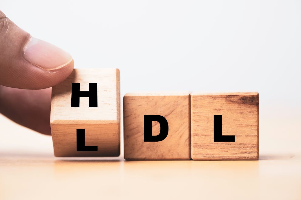 Blocks spelling HDL and LDL