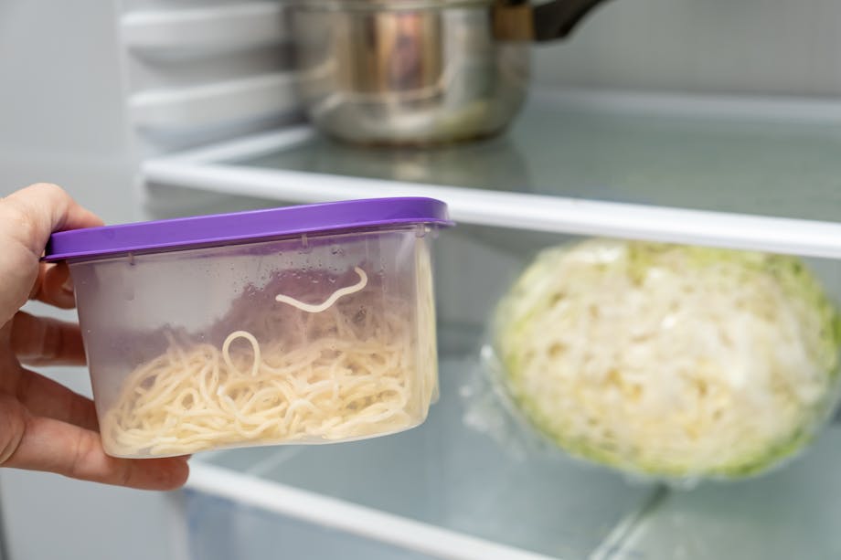 Storing leftover noodles in the fridge