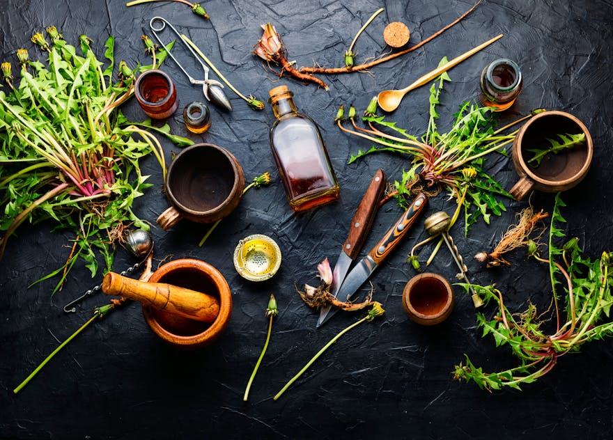 The Best 7 Herbal Diuretics for Fluid Retention Dr. Berg