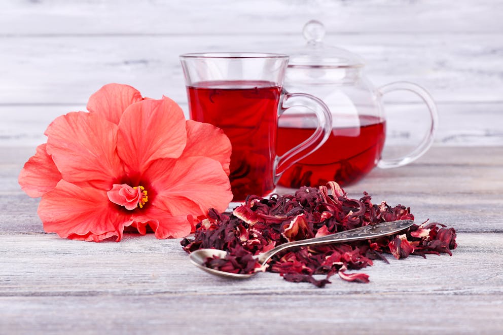 Hibiscus tea with fresh and dried flowers