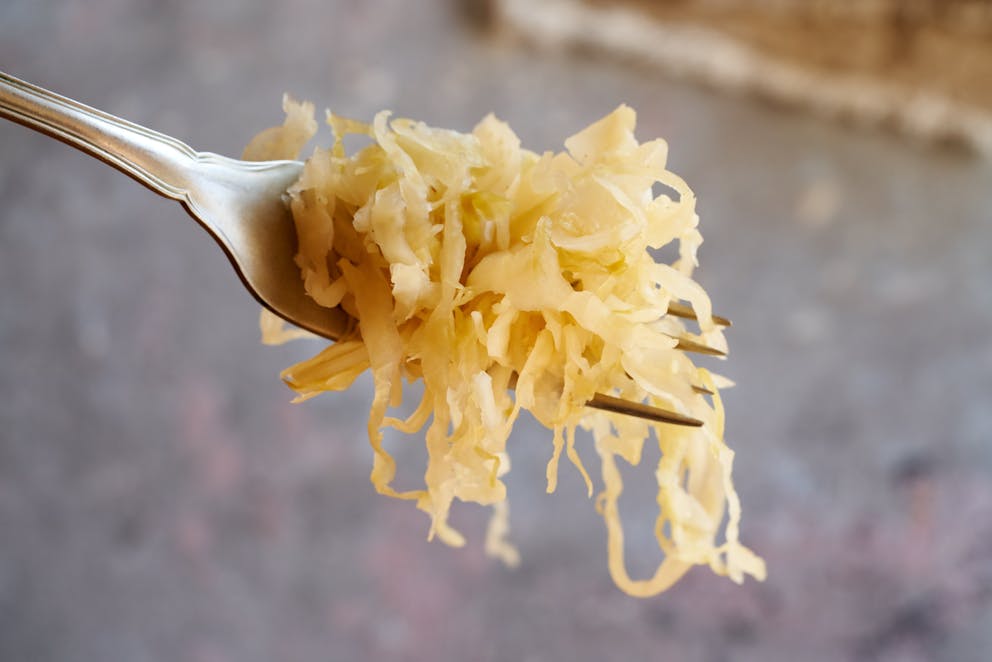 Fork full of sauerkraut