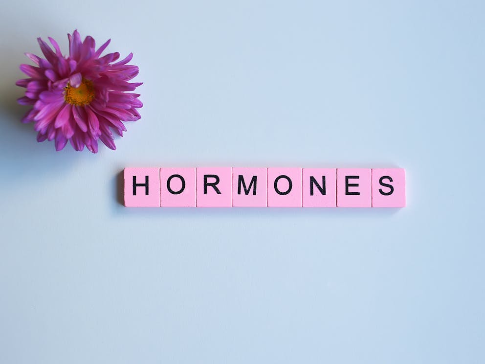 Word hormones on wooden cubes