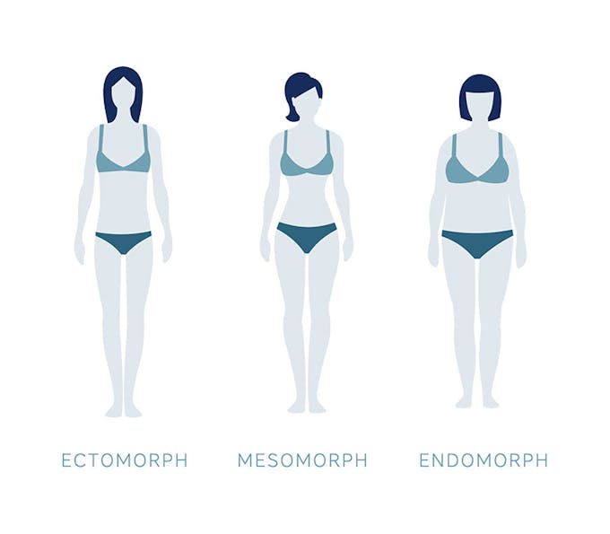 Mesomorph body types