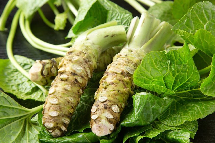 Real Wasabi vs. Fake Wasabi Know the Difference Dr. Berg