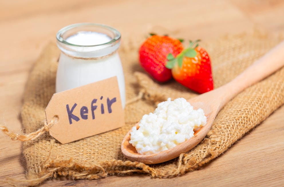 Fresh kefir grains