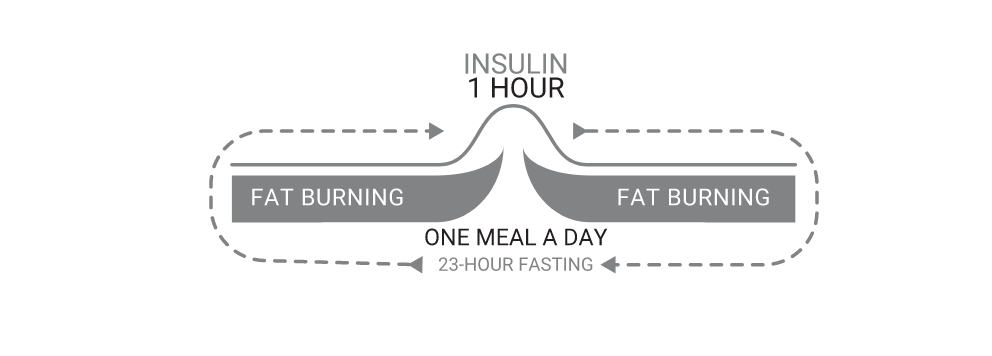 One meal a day and insulin