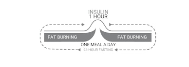a chart showing how fat storing hormone stays low and raises only after one meal a day