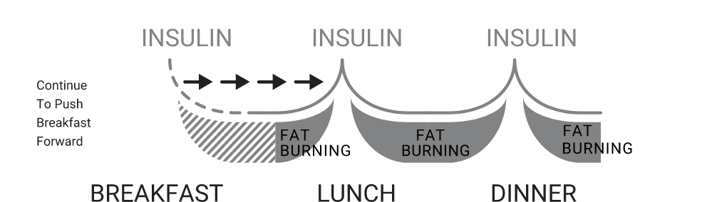 Insulin