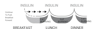 a chart showing how fat storing hormone stays low longer when you delay or skip breakfast