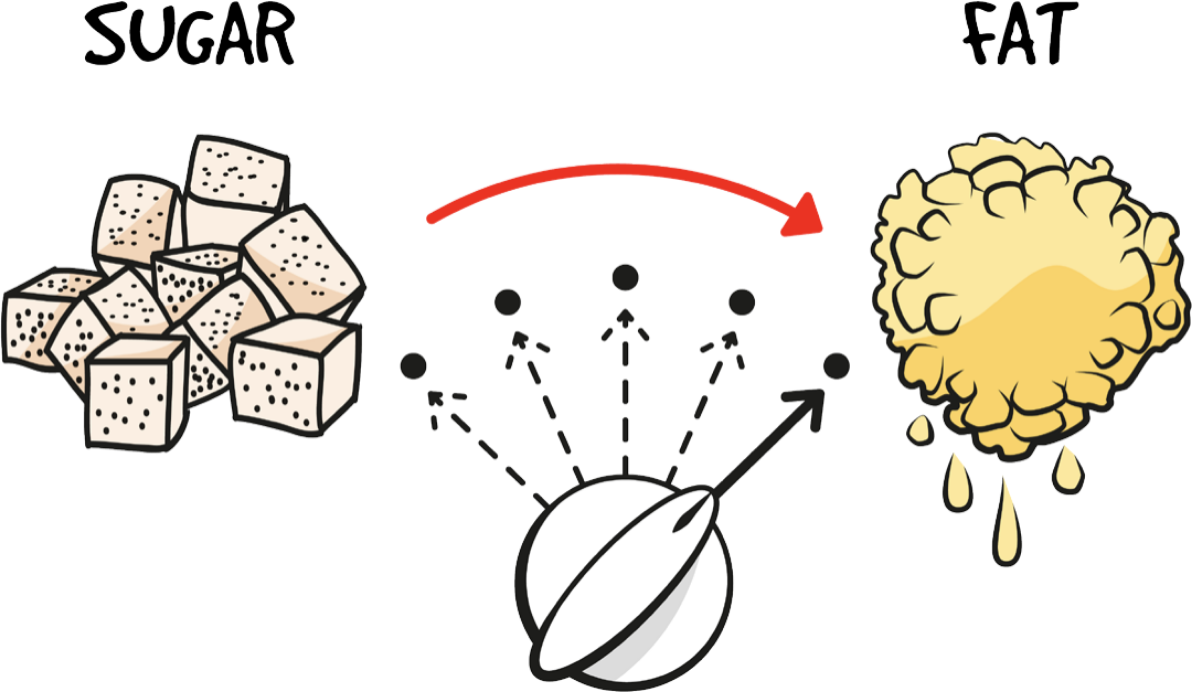 Sugar vs Fat