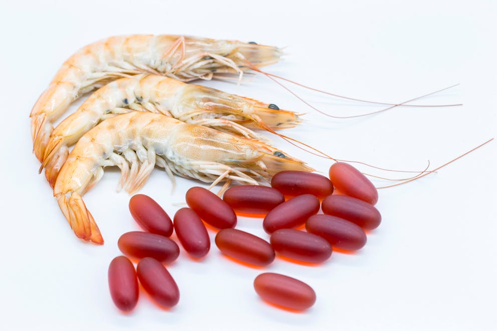 Krill and krill oil capsule