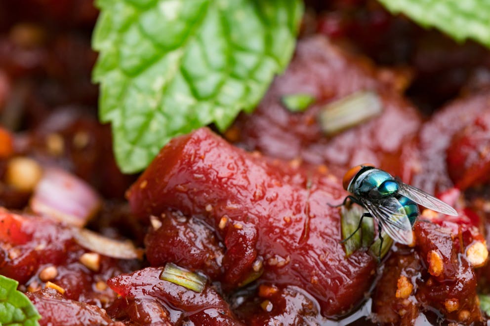 Meat salad with a fly