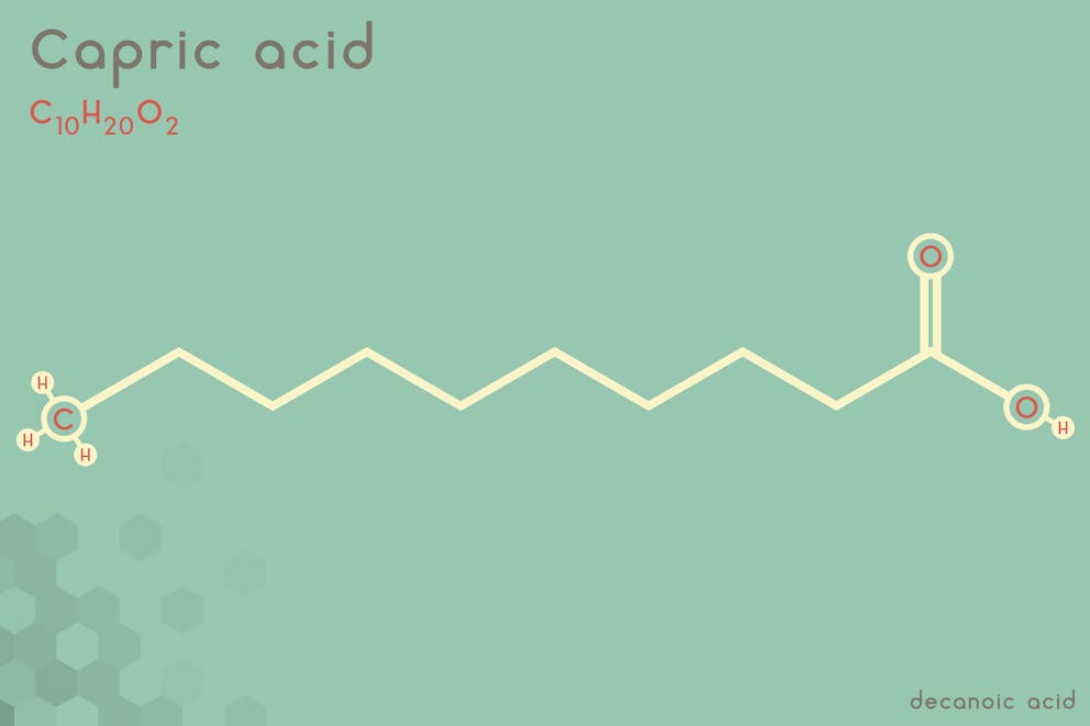 Capric acid illustration