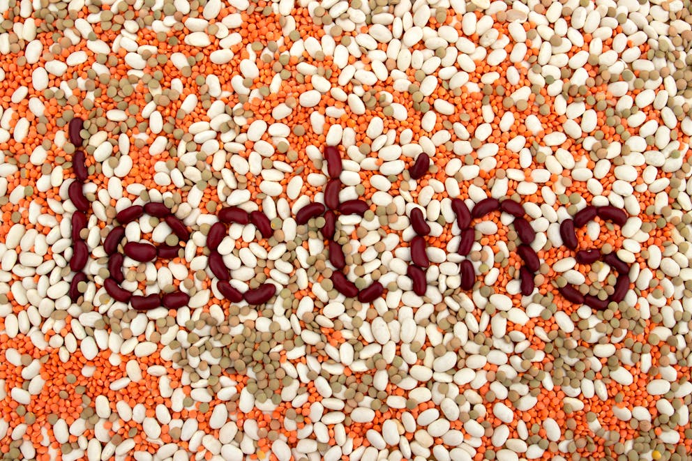 Lectin written in legumes