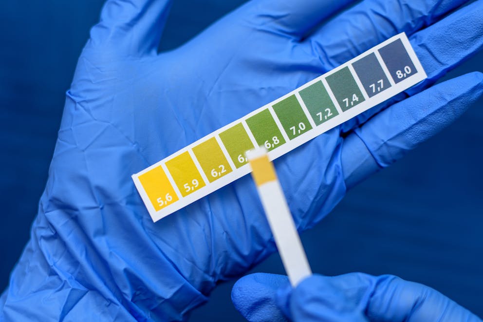 pH test strip and guide