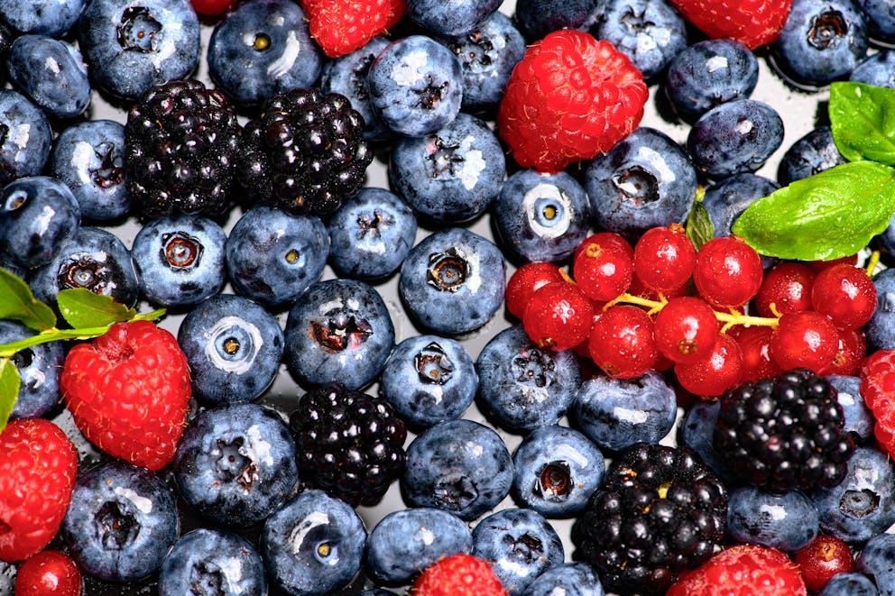 Fresh berries