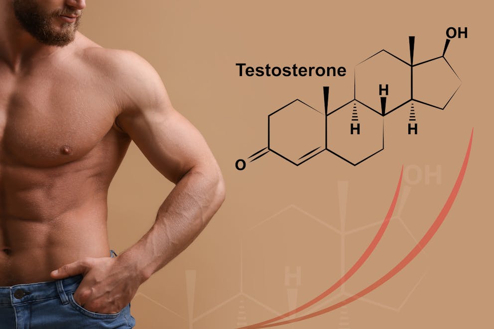 Muscular man testosterone structure