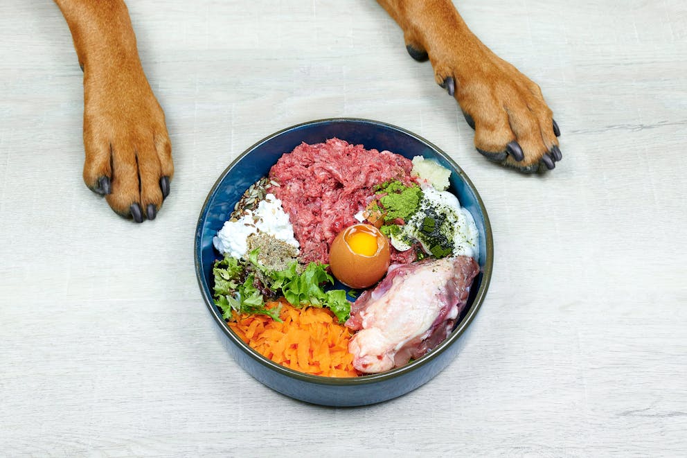Dog raw food diet