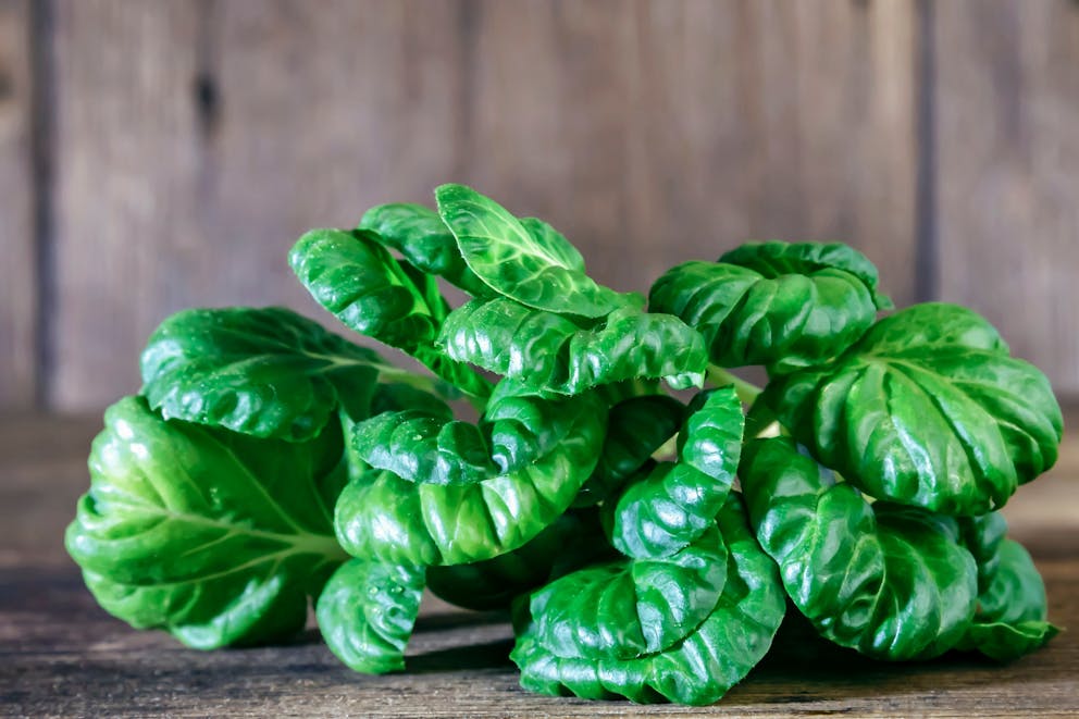 Health Benefits of Tatsoi Superfood Greens Dr. Berg