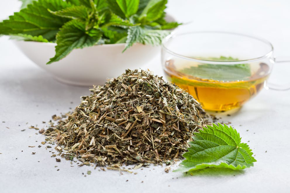 Nettle leaf tea