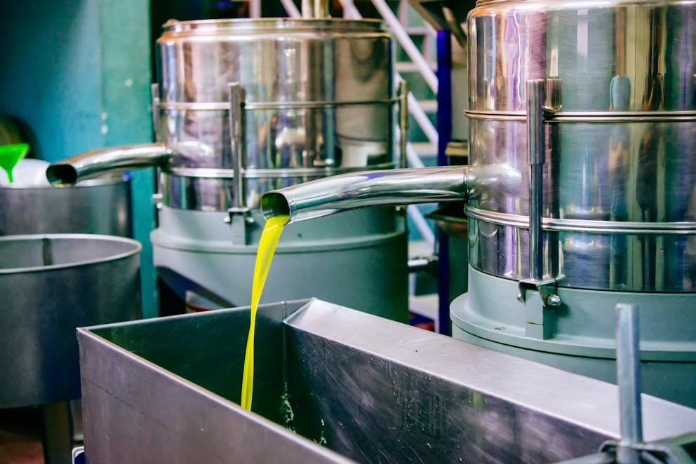 Cold-pressed olive oil factory