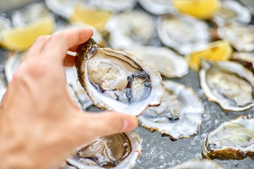 Are Oysters Good for You?—7 Health Benefits Dr. Berg