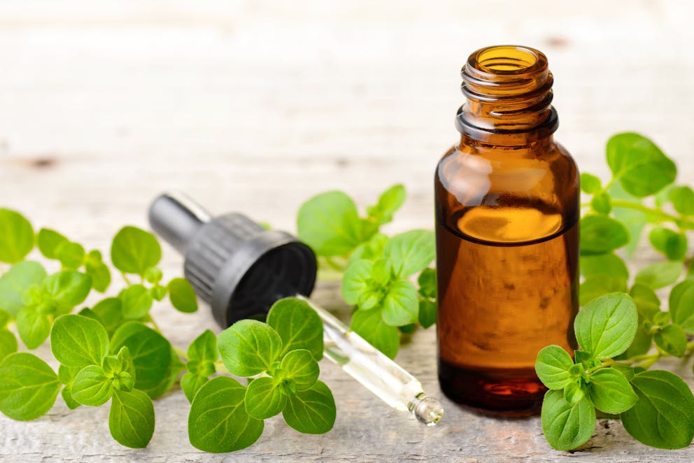 Oregano oil