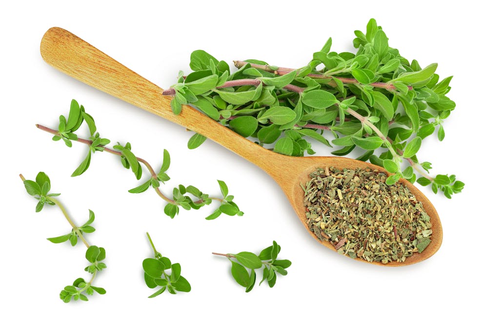 Oregano leaves