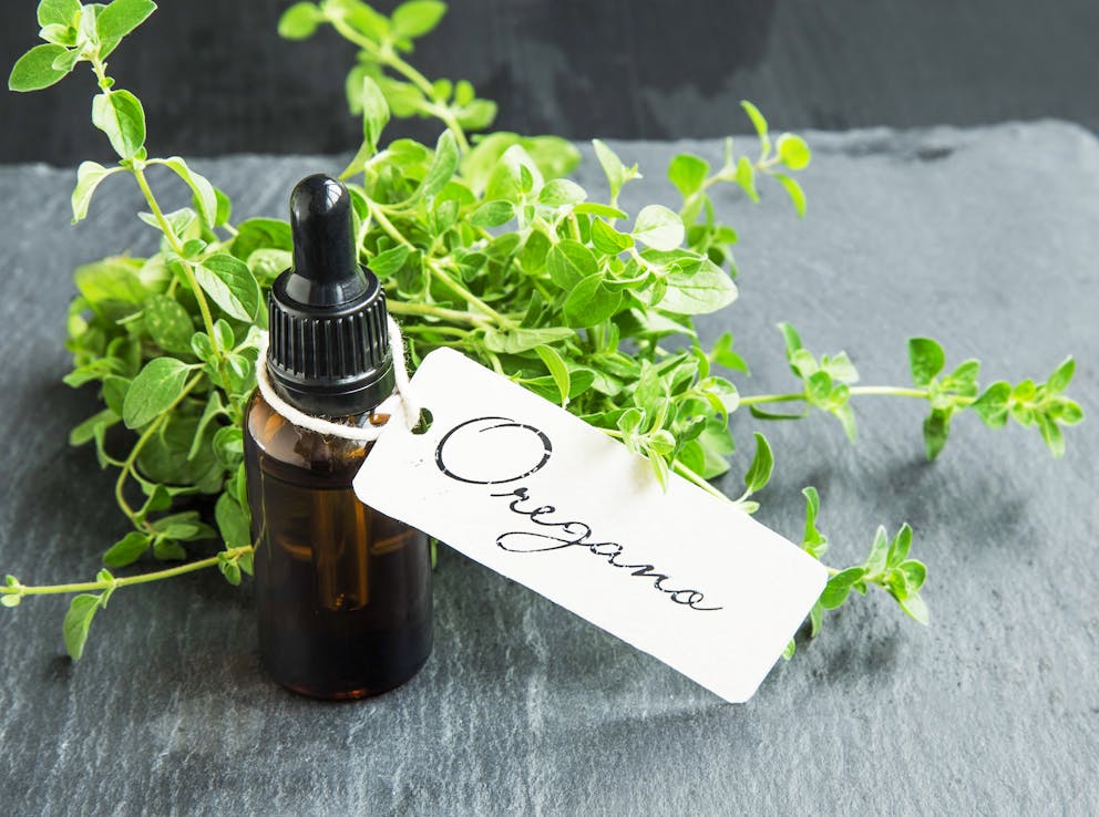 Bottle of oregano essential oil