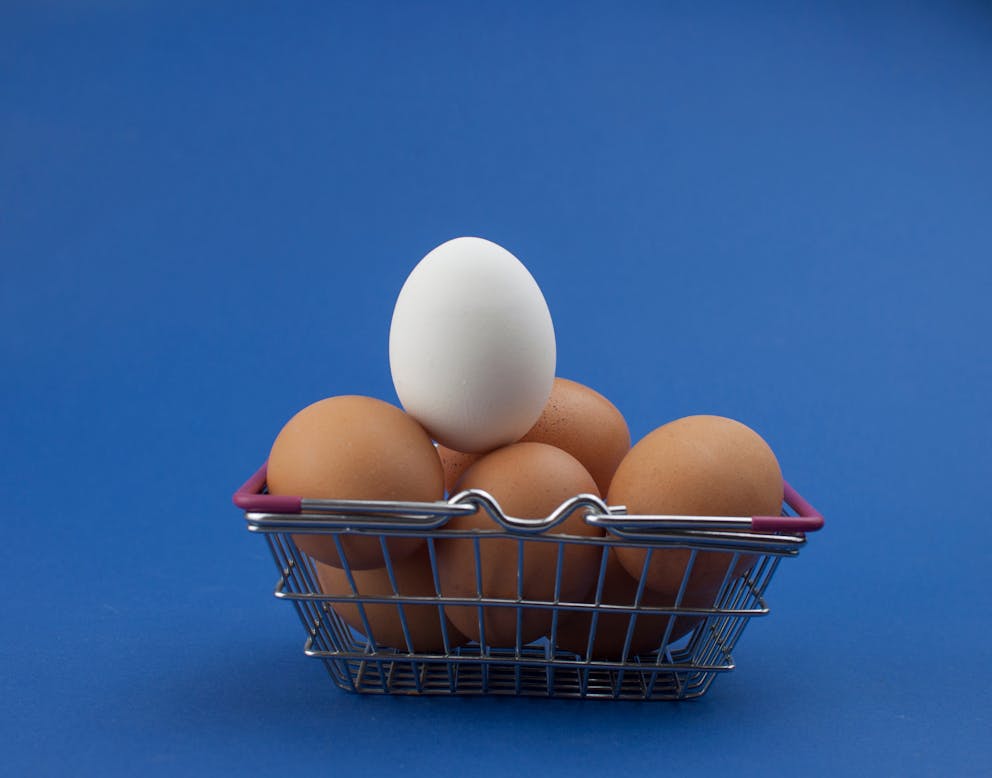 Eggs in a shopping basket