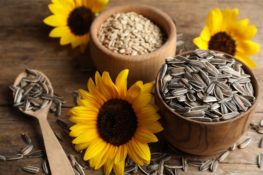 Are Sunflower Seeds Keto?Nutrition Facts & 7 Alternatives