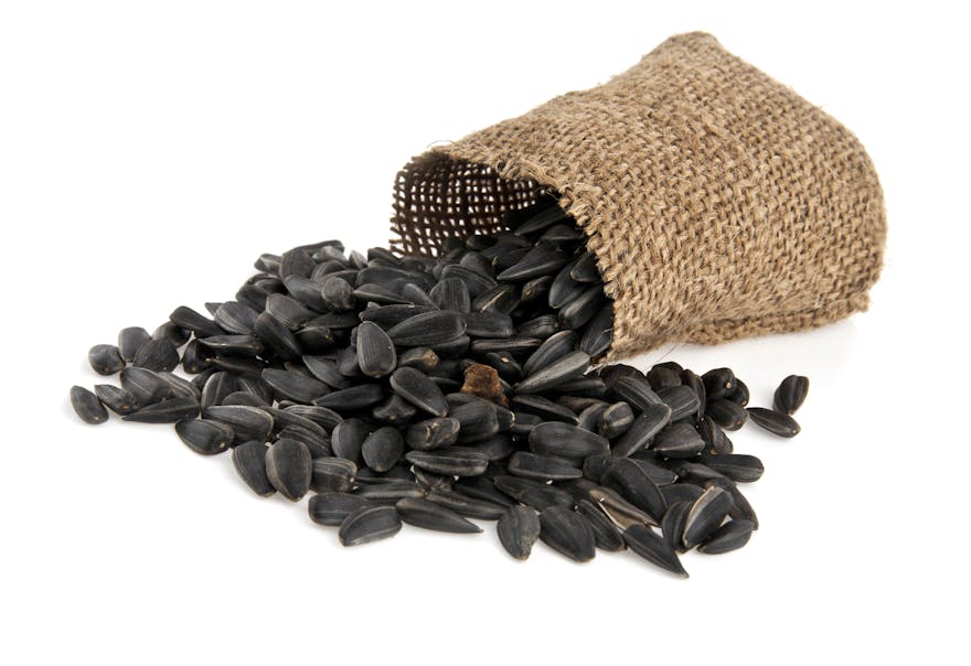 Are Sunflower Seeds Keto?Nutrition Facts & 7 Alternatives