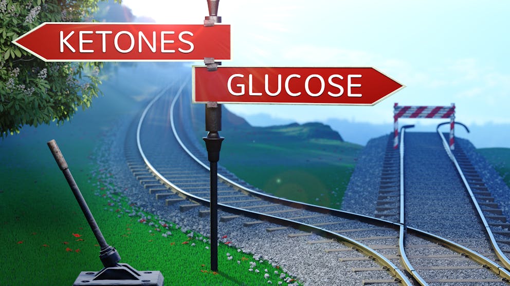 Ketones and glucose road sign