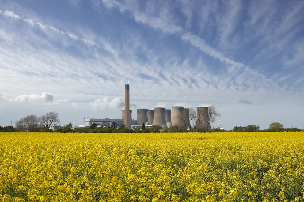 rapeseed field with power plant in background