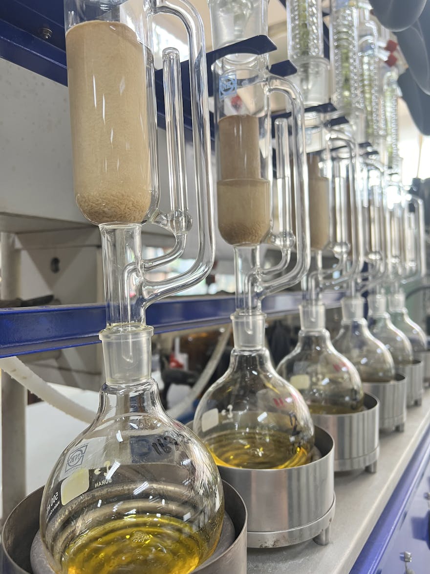 Is Canola Oil Banned in Europe? Exploring Concerns